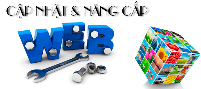 Tìm hiểu về dịch vụ nâng cấp web Quảng Nam